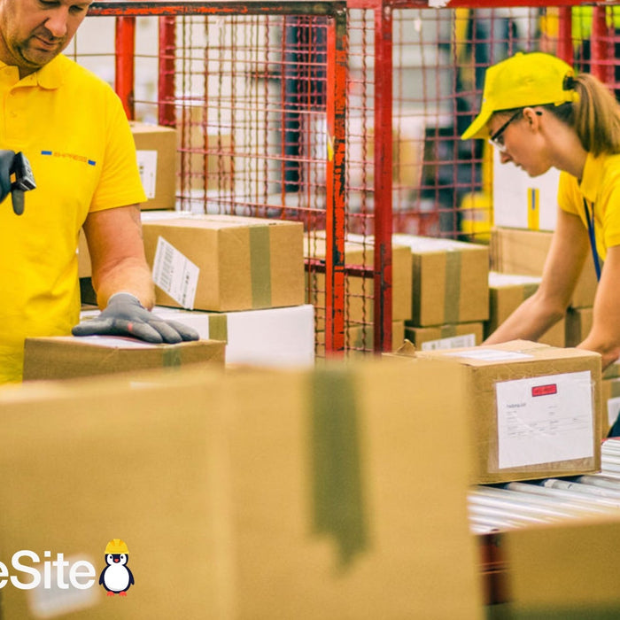 Zebra Wearables: Boost Productivity with Agile, Efficient, Hands-Free Logistics