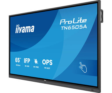 iiyama ProLite IDS TN6505A-B1AG