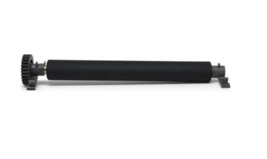 Zebra platen roller P1080383-222